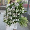 101 бело-фиолетовая альстромерия